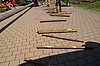 20150725-122602.JPG